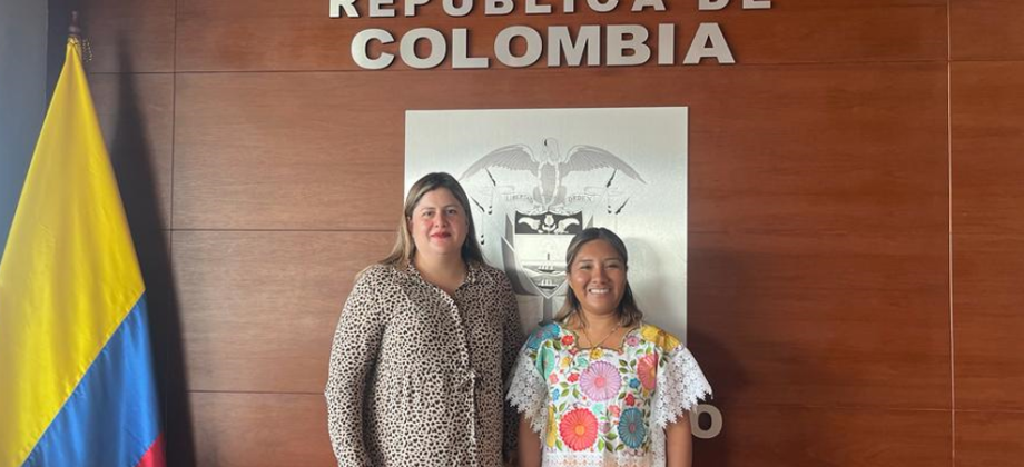La Cónsul General de Colombia en Cancún se reúne con el Instituto Quintanarroense de la Mujer ‘Benito Juárez’